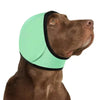 Dog Ear Protection