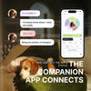PettiChat AI Pet Translator – Smart Pet Communication Device