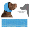 Dog Ear Protection
