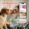 PettiChat AI Pet Translator – Smart Pet Communication Device