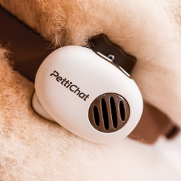 Real-time Pet Translator