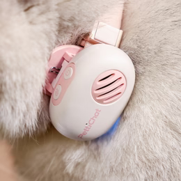 Real-time Pet Translator