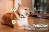 Real-time Pet Translator