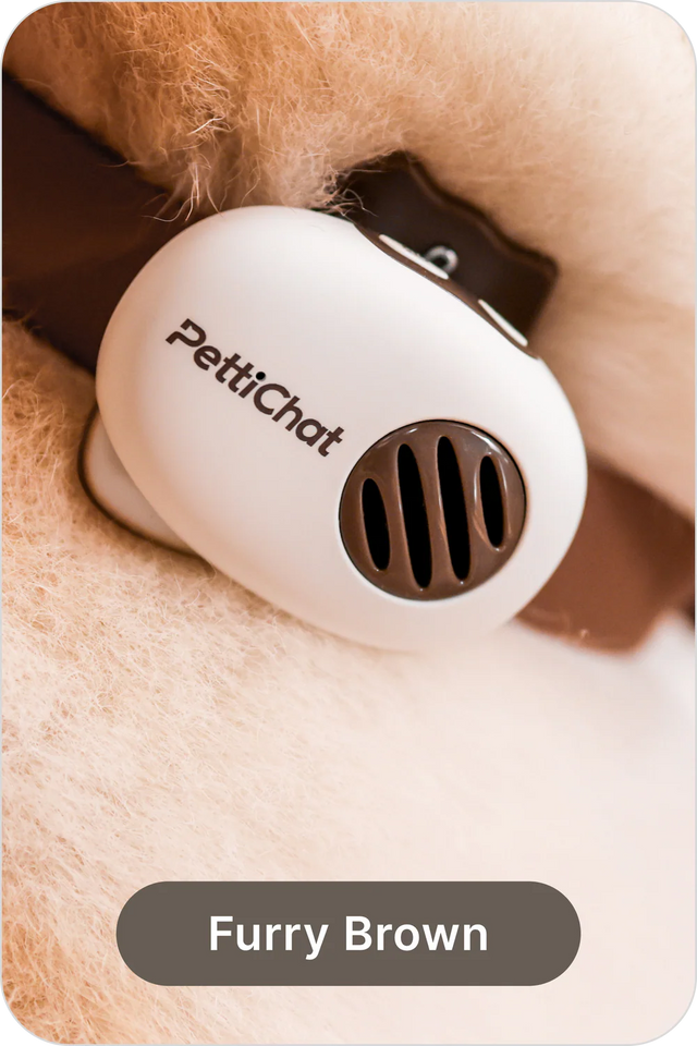 Real-time Pet Translator