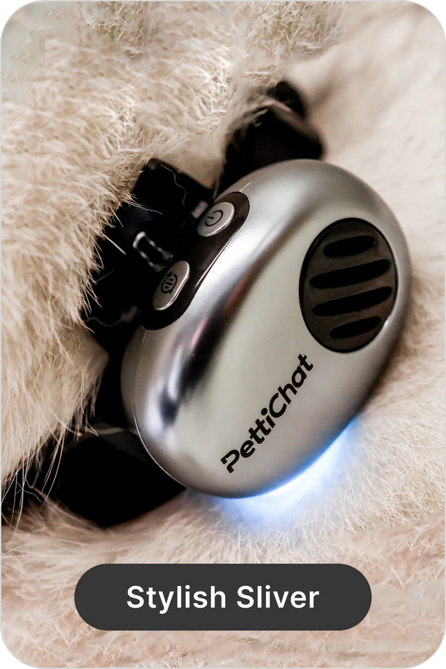 Real-time Pet Translator